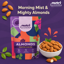 Load image into Gallery viewer, Nutri Harvest Roasted &amp; Salted Almond and Cashew Nuts (W-240) Pack of 4 Combo.

