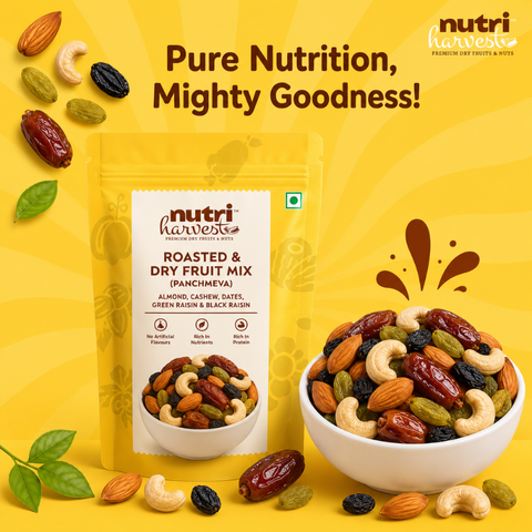Nutri Harvest Dry Fruit Mix Panchmewa (V)