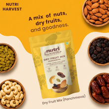 Load image into Gallery viewer, Nutri Harvest Dry Fruit Mix Panchmewa (V)
