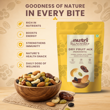 Load image into Gallery viewer, Nutri Harvest Dry Fruit Mix Panchmewa (V)
